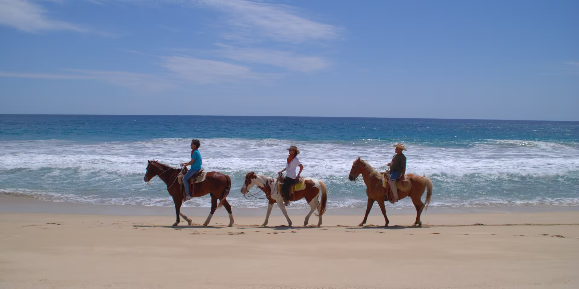 Caballos_81ac3fec-c7df-48f7-90b7-51e2f885a9be