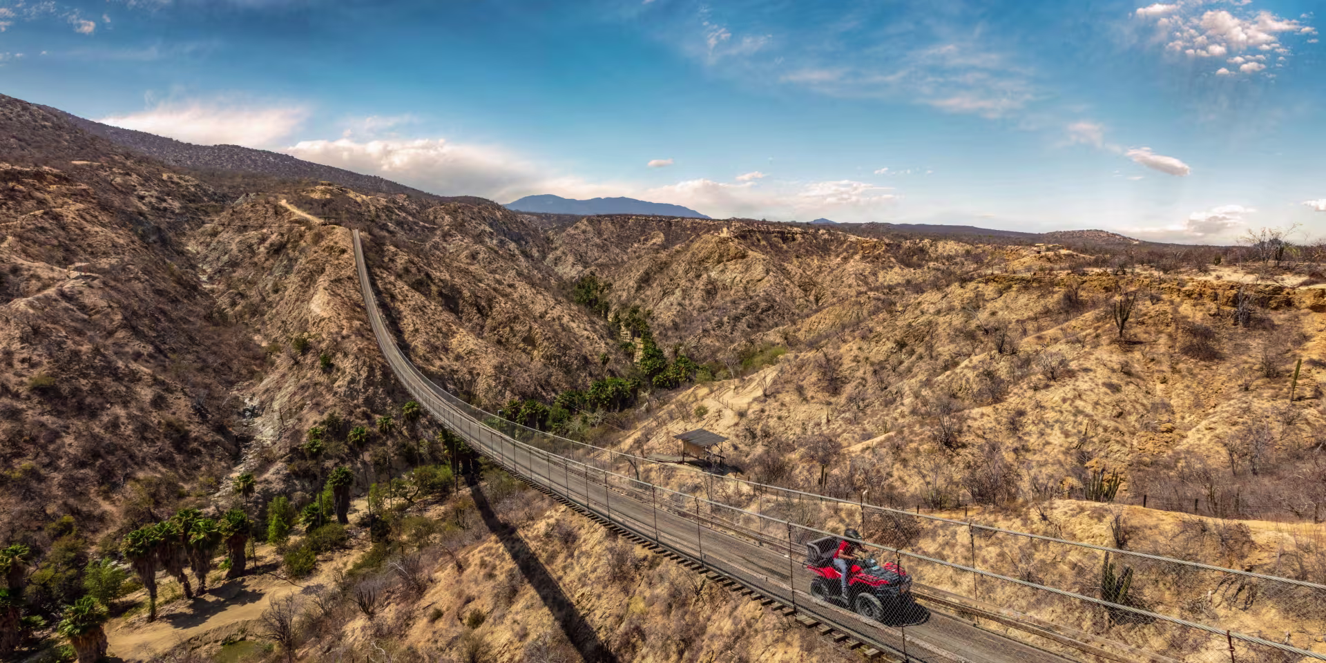 Wild_Canyon_2413f73d-8017-4613-ba2d-d7c455ff6d8a